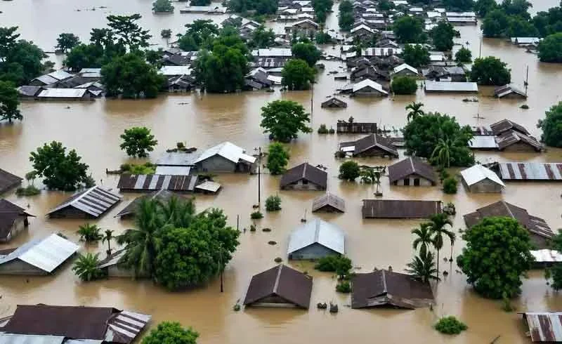 assam brahmaputra - flood 7