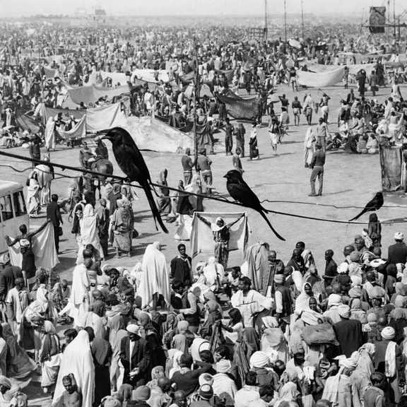 Copilot_20260427_171810