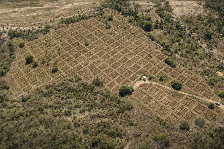 Copilot_20260423_190238