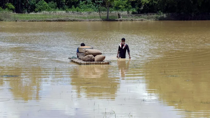 assam brahmaputra - flood 2