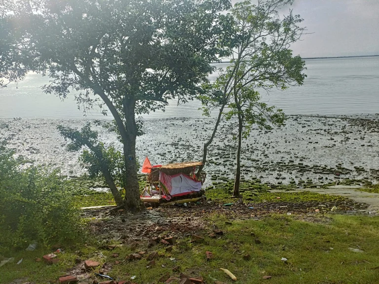 sundarban 2