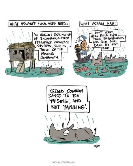 assam flood - cartoon