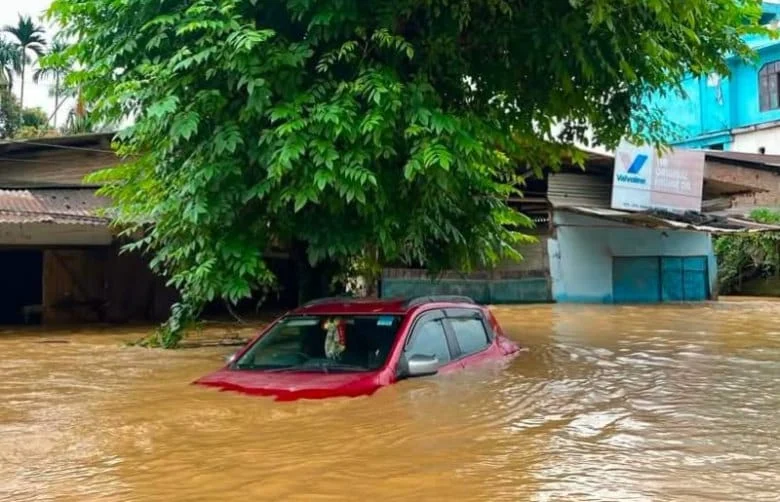 assam brahmaputra - flood 3